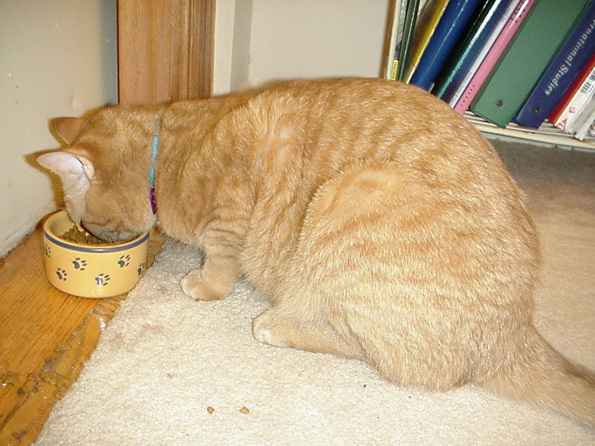 Solomon Eating 1.jpg